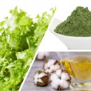 온누리목화약국 이미지