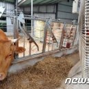 홍우농장 이미지