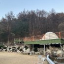 테라스527 네이버블로그