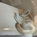 순천만국가정원 습지센터 정원연회장 | 순천만국가정원 예쁜 꽃과 작은 동물원 즐기기