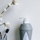 워시블랑 | 무향 아기바디워시 블랑101 탑투토워시 후기