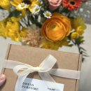 오후의 산책 | 로에르LOEHR센트 드레스퍼퓸 섬유향수추천 오후의산책 패브릭퍼퓸 후기