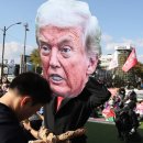 판다나라 이미지