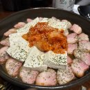 레피다리조트 이미지