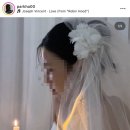 w.7 이것도 해야돼? 묻는다면 네.. 웨딩촬영 헤어변형 계약 후기(디자이너 박하)