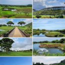 라헨느CC 이미지