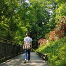 신정로(계남근린공원) 이미지