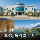 보성, 녹차밭만 보고 오기엔 아까운 이유