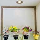 도영헤어플러스 이미지