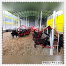 동산흑염소농장 이미지