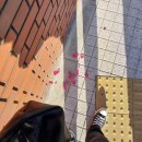 후레쉬마트(신곡점) | [도쿄 2/4] 니햐쿠나나주우욘(ft.れん)