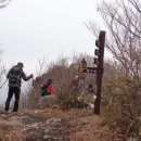 금강산금방