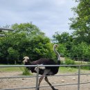 창의목장 이미지