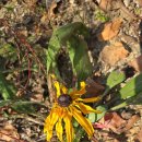 율곡수목원(2) 이미지