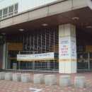황령산 편백단지 Daum카페