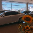 봄날모터스 이미지