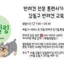 힐링힐링 반려견 교육 유치원 이미지