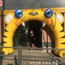동산스포츠 이미지