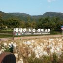 내장산약국 이미지