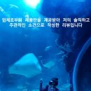 샘애드