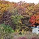 차항1리경로당 이미지