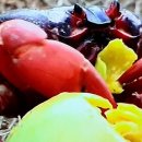 녹양면옥 이미지