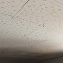 동해상업고등학교 이미지