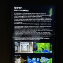 제주올림피아 | 2025년 9월 제주 7일차: 빛의 벙커, 항파두리 항몽유적지