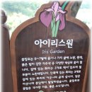 (갈만한 곳)조치원 베어트리파크 이미지