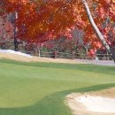 파인크리크C.C 이미지