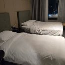 전대로78번길 | [경기/용인] 에버랜드 코앞 숙소! 골든 튤립 에버 용인 호텔에서 1박 2일 내돈내산 후기