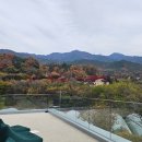 커피팀버팔공산점 | 단풍 구경하기에 딱 좋은 팔공산 커피팀버 대형카페 솔직후기