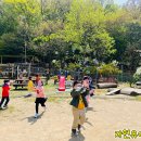 자연아트어린이집 이미지