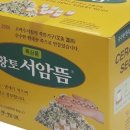 수지침&쑥뜸 이미지