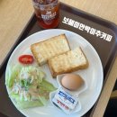 강릉 가면 여기! 보헤미안 박이추커피 모닝세트 솔직 후기