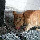 모텔 봄일랑 이미지