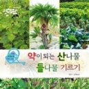 청주 강내점 롯데리아 이미지