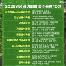 4월 11일(토) 정선 가볼 만한 곳, 민둥산부터 가리왕산까지 힐링 여행 이미지