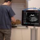 낭만고양이병원 이미지