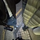 피자브라운 이미지