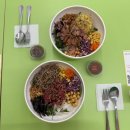 언니네 애견샵 | 정신체리 7,8월