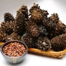 행현1리 마을회관 이미지