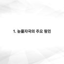 켄넬퀸비 이미지