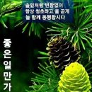 허기숙할머니원조오뎅식당별관 이미지