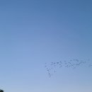 하마캠핑장 이미지