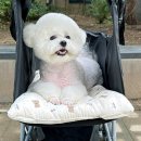 호나미네