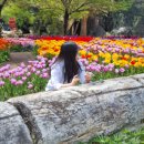 (주)아성다이소 대구죽전네거리점 | 여름휴가 8월(1) - 역대급 수다파티..