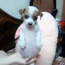 모르겟다이제..