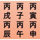 己亥年 강의 中 - 丙火 간지를 알아보자! 이미지