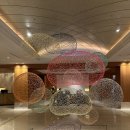 라세느헤어 이미지